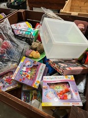 AMAZON Mystery Box General Merchandise Fun Liquidations Bundles Free Shipping