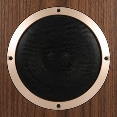 2Pcs Metal ABS Speaker Grill Covers for Car Audio with Golden Round Mesh