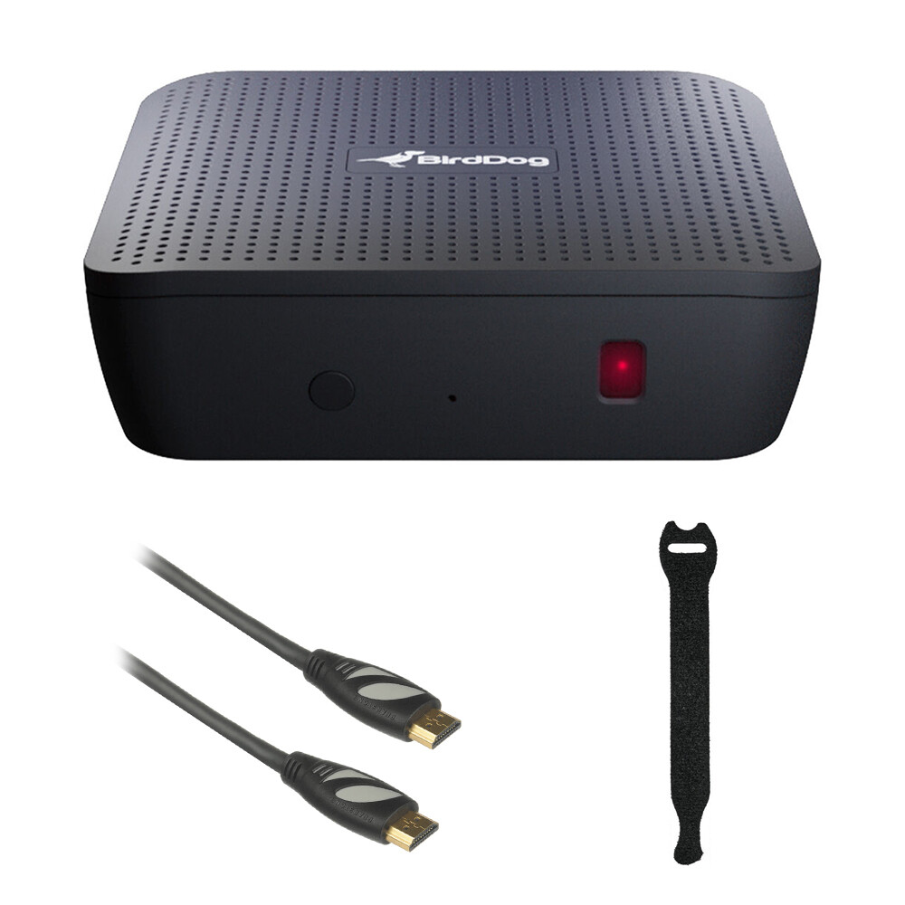 BirdDog PLAY 4K NDI Player w/ Pearstone HDMI Cable and Fastener Straps