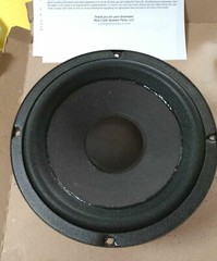 EPI 20,10,100,101, 100W, 200, M3, M110 8″ Filleted Foam Surround Speaker Kit