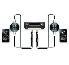 SVS SoundPath Ultra Bi-Wire 10Ft – Spade Spade-to-Spade Bi-Wire Speaker Cable