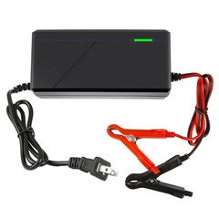 14.6V 10A LiFePO4 Battery Charger for 12V Lithium Iron Phosphate Batteries – …
