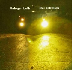 For Honda Accord Civic 2006-2020 H11 Fog Light Projector Lens Yellow LED Bulbs