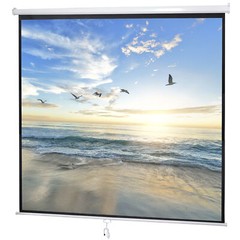 120” Projector Screen Projection Screen Manual Pull Down HD Screen 1:1 Format