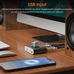 100W Mini Bluetooth 5.0 Digital Power Amplifier TPA3116 Stereo Audio Receiver