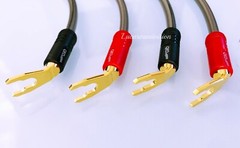 QED REFERENCE XT40i 4x 20cm Speaker Jumper Cables Terminated Qed Airloc Plugs