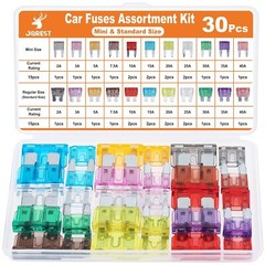 300Pcs Car Fuse Assortment Kit, 160 Mini Blade Fuses Automotive + 90 Standard