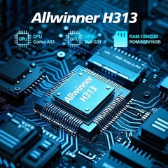 Hot X96Q Android 10.0 Fast Smart TV BOX 2GB 16GB Allwinner H313 Quad Core 4K