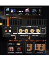 Douk Audio A100 TPA3255 Digital Power Amp 300W x2 Stereo Mono Subwoofer Amp Home