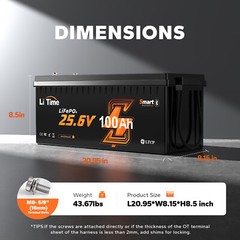 Litime 24V 100Ah Bluetooth 5.0 Low Temp LiFePO4 Lithium Battery For Solar Marine