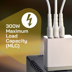 ELC T-300 300 Watt Step Down Voltage Transformer Converter – 110/220V (T-300D)