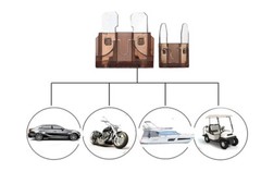 Car Fuses Assortment Kit Blade-Type Automotive Fuses Standard & Mini Size Fuses