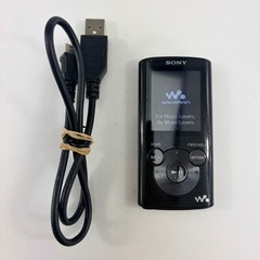 Sony Walkman NWZ-E385 Black (16 GB) Digital Media Player – Tested with Music