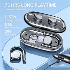 APE-BSW Open-Ear Wireless Earbuds with an earhook One Size Fits All, Black