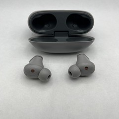 Beats Studio Buds – True Wireless Noise Cancelling Earbuds, Gray