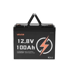 VEVOR 12V 100Ah Deep Cycle LiFePO4 Battery BMS Lithium Iron Phosphate Battery
