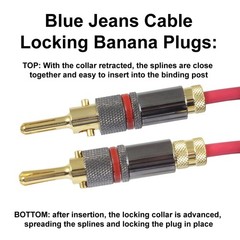 Blue Jeans Cable Blue Jeans Canare 4S11 Speaker Ultrasonically-Welded Bi-Wire