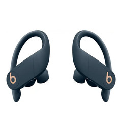 Beats Powerbeats Pro Bluetooth True Wireless Earbuds w/ Charging Case MY592LL/A