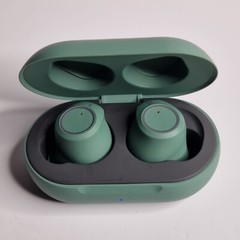 Zebra Wireless Bluetooth Earbuds Headphones 3026967 In Magnetic Charging Case