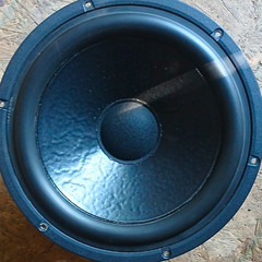 Vifa 10 in Woofer Speaker Driver M26WR-09-08 8 Ohm Vifa Compatible