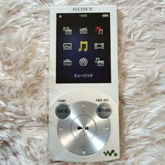 Sony Walkman NW-S644 8GB Digital MP3 Audio Player Japan All Function Tested