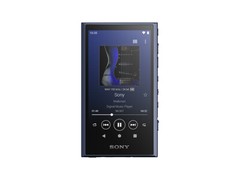 SONY Walkman NW-A306 NW-A307 A series memory type Black Blue Gray Music 2023