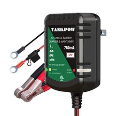 12V 0.75A Smart Battery Charger,Automatic Battery Charger&Battery dark green