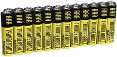 New 24 pack AAA Heavy Duty Contractor Quality Magnum Thunderbolt Batteries