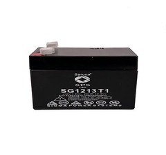 Raion Power 12V 1.3Ah Replacement SLA Battery For POWERGOR SB12-1.3