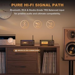 2 Channel Bluetooth Amp: HiFi 300W x2 Stereo Amplifier with BT 5.2 | HPF | Di…