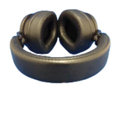 JVC HA-SW01 Wood Dome Hi-Res Headphones High-End Model Headband Wear
