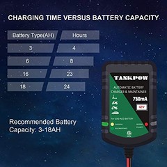 12V 0.75A Smart Battery Charger,Automatic Battery Charger&Battery dark green