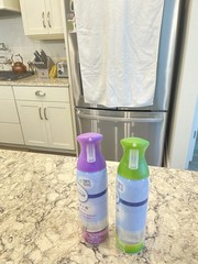 Febreze 8.8 Ounce Can 2cans
