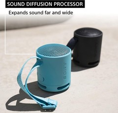 Sony SRS-XB100 Wireless Bluetooth Portable Compact Travel Speaker BLACK, NEW