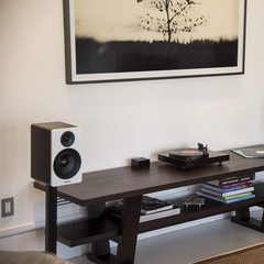 PA10 High Fidelity Phono Preamp Preamplifier with RIAA Equalization for MM Tu…