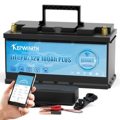 12V 100Ah LiFePO4 Battery Packs Grade A Cells Rechargeable For Outdoor / Home