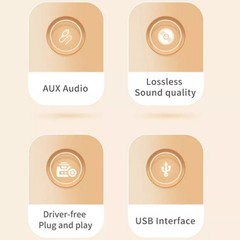 HiFi Audio Amplifier Bluetooth 5.0 Mini Power Class D 80W+80W DC 9V-24V USB RCA.