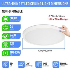 SunRider LED Flush Mount Ceiling Light 1 Count (Pack of 1), Daylight White