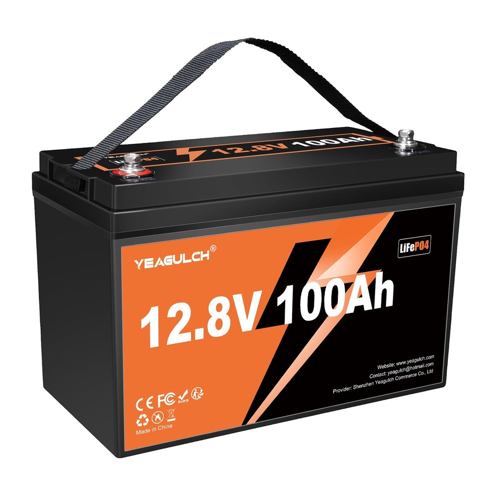 LiFePO4 Lithium Battery 12V/24V 100Ah 200Ah 100A BMS for RV Solar Trolling Motor