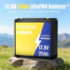 NEW 12V 25Ah LiFePO4 Lithium Battery 320Wh Built-in BMS Deep Cycle for Solar RV