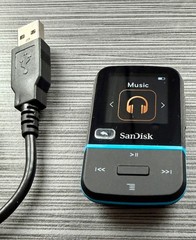 SanDisk Clip Sport Go 32GB MP3 Player with/Cable & Charger – Bundle