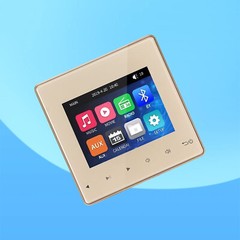 Mini Wall Amplifier Bluetooth Smart Sound System Theater Stereo Ceiling Speaker