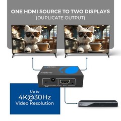 OREI HDMI Splitter 1 in 2 out, upto 4K@30Hz Display Duplicate/Mirror (HD-102)