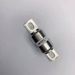20Pcs/Box New RGS11-50A Fast Acting Fuse aR 50 Amp 250V RGS11 50A