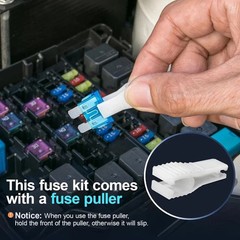 300Pcs Car Fuse Assortment Kit, 160 Mini Blade Fuses Automotive + 90 Standard