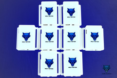 SlimeVR Compatible Full-Body Trackers 8-Pack | VRChat SteamVR FBT Kit WolfMotion