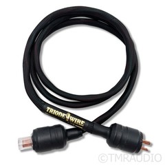 Triode Wire Labs Twelve Plus Power Cable; 4ft AC Cord