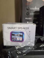 smart speaker