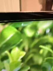 Samsung QN800A 65″ Neo QLED Smart TV 8K QN65QN800AFXZA – Minor Lines on Screen
