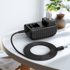 12V AC/DC Adapter for AIYIMA T20 12volt 12.0 Volts Power Supply Charger Cable